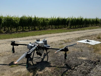 Platforma Vineyard Angel
