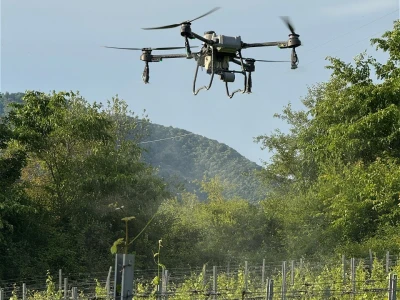 Platforma Vineyard Angel