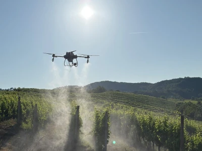 Platforma Vineyard Angel