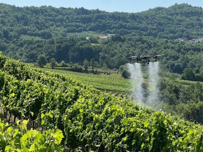 Platforma Vineyard Angel