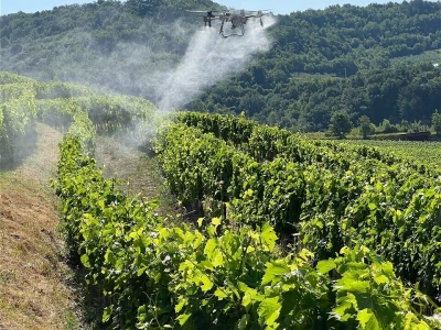 Platforma Vineyard Angel