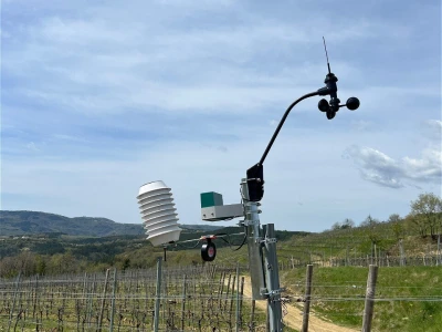 Platforma Vineyard Angel