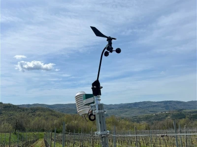 Platforma Vineyard Angel