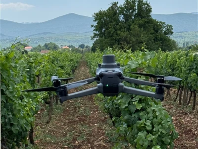 Platforma Vineyard Angel