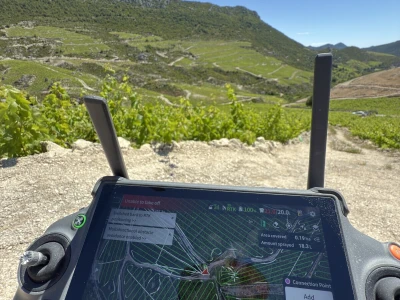 Platforma Vineyard Angel