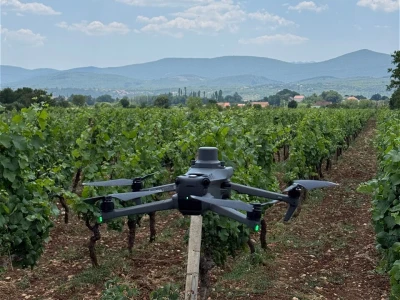 Platforma Vineyard Angel