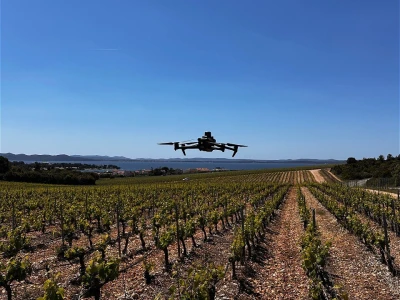 Platforma Vineyard Angel