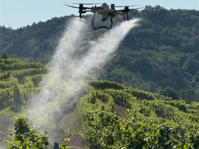 Platforma Vineyard Angel