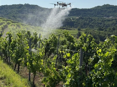 Platforma Vineyard Angel