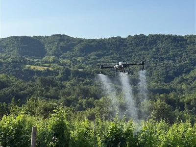 Platforma Vineyard Angel