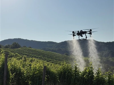 Platforma Vineyard Angel