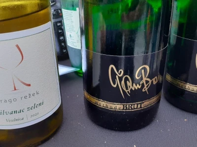 Plešivičko vinogorje - projekt