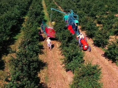 Plodna polja Zlatne doline snimljena dronom