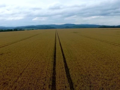 Plodna polja Zlatne doline snimljena dronom
