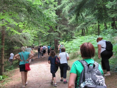 Plodovi gorja Gorskog kotara