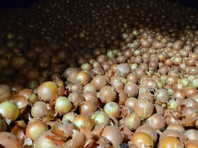 Podravka Agri