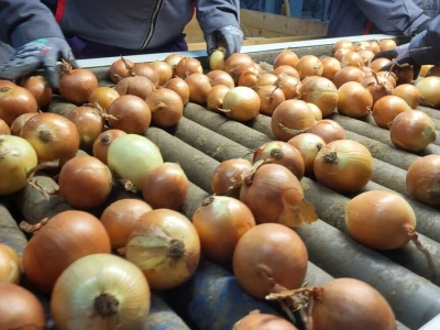 Podravka Agri
