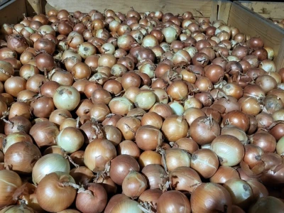 Podravka Agri