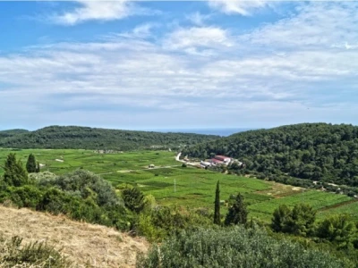 Pogled na oplemenjeni krš u dalmatinskom zaobalju