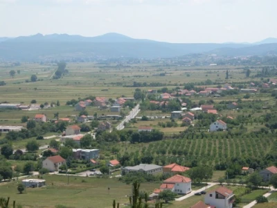 Pogled na Rančićevu plantažu badema Ranč u Brnazama kod Sinja
