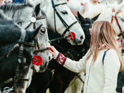 Pokladno jahanje u Branjinom Vrhu