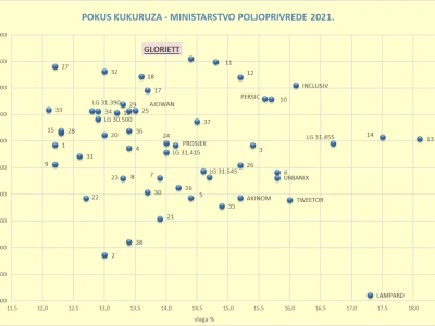 Pokus kukuruza- RWA