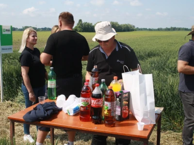 Pokus RWA pšenica na polju tvrtke Artos