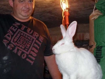 Uspješan kunićar Žarko Bočak iz Trstenika