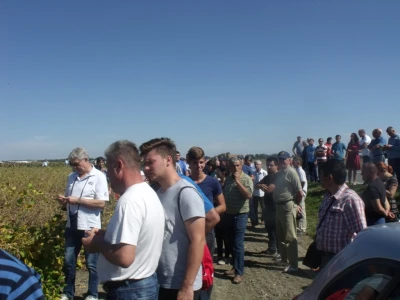 Dani polja kukuruza, soje i suncokreta