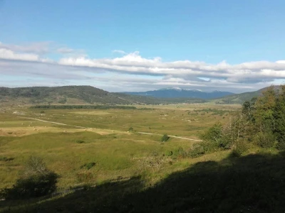 Poljoprivreda u pustoši
