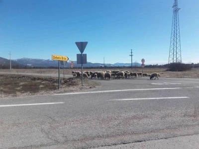 Poljoprivreda u pustoši