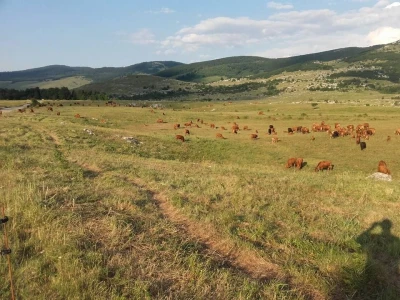Poljoprivredna na potpomognutim područjima