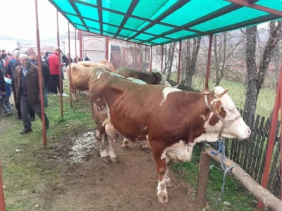 Poljoprivredna na potpomognutim područjima