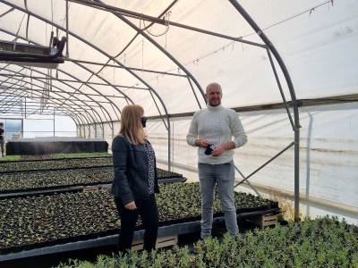 Poljoprivredna škola- sadnice