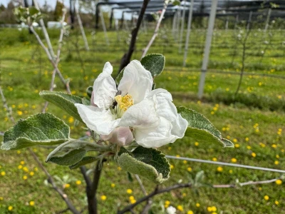 Poljoprivredna škola Vinica