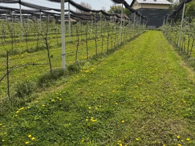 Poljoprivredna škola Vinica