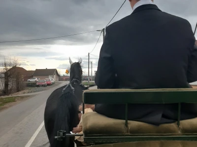 Poljoprivredne emisije u Hrvatskoj