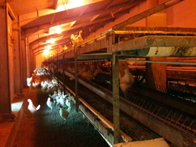 poljoprivrednici u Koruškoj od turizma ostvaruju dodatni prihod