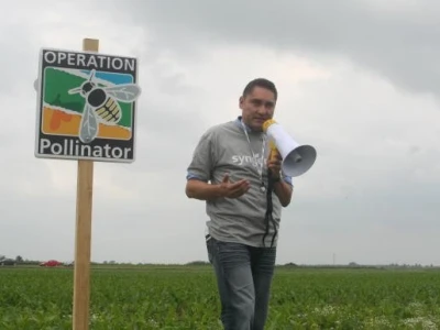 Syngenta Pollinator