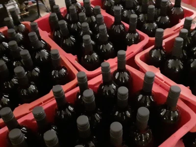 Portugizac Plešivica