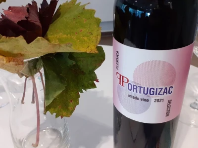 Portugizac Plešivica