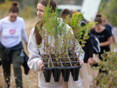 Posljednja ovogodišnja akcija pošumljavanja Boranka
