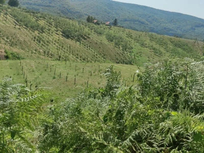 Postoji li u RH ekološka poljoprivreda?