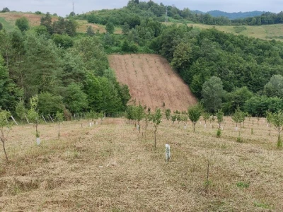 Postoji li u RH ekološka poljoprivreda?