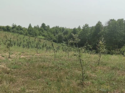 Postoji li u RH ekološka poljoprivreda?