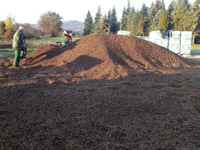 Pošumljavanje