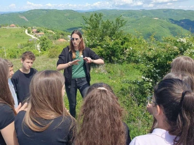 Pošumljavanje dronovima