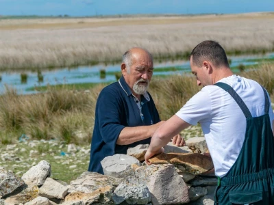 POTHVAT NA PAGU - Podigao skoro dva metra visoki suhozid da zaštiti masline od bure i posolice