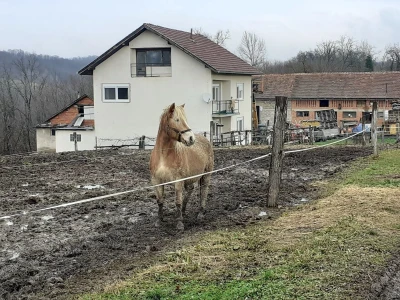 Potresi na Banovini