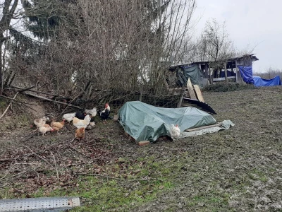 Potresi na Banovini